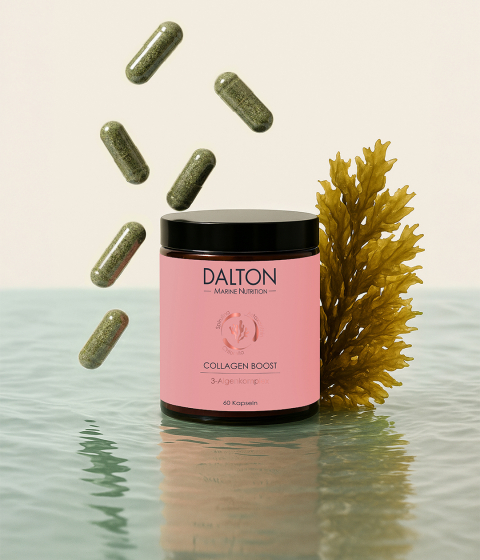 Kollagen Nahrungsergänzung