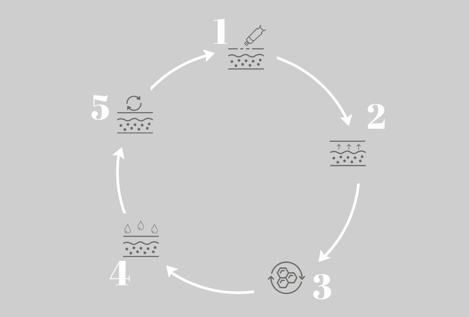 DALTON Microneedling Pen – MP200