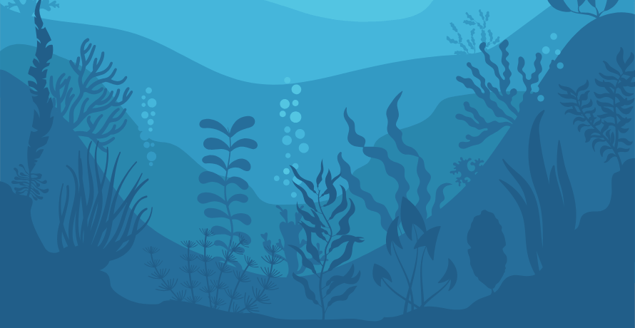 So wirken Algen in der Kosmetik