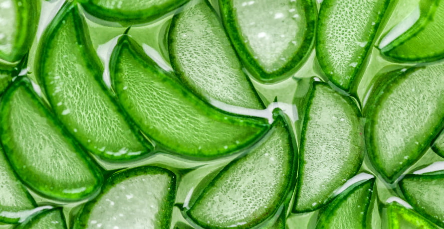 Aloe Vera in der Hautpflege 
