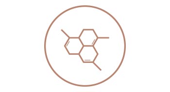 Hemmt die Melanin Produktion