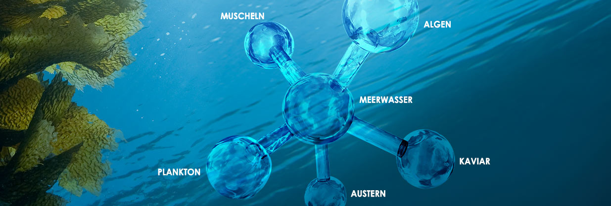 Anti-Aging Komplex aus 6 maritimen Wirkstoffen zur Versorgung und zum Schutz der Haut