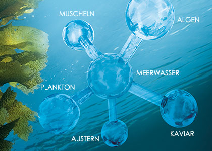 Anti-Aging Komplex aus 6 maritimen Wirkstoffen zur Versorgung und zum Schutz der Haut