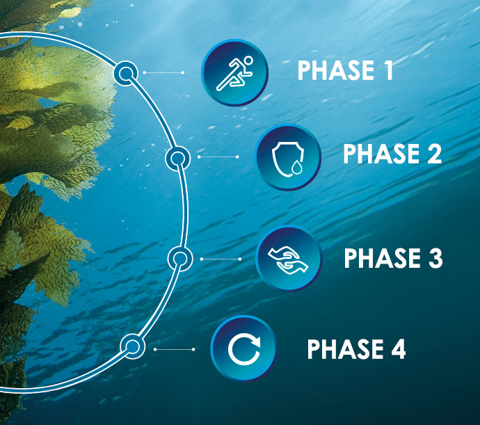 Das Wirkprinzip der DALTON Meereskosmetik Schritt für Schritt