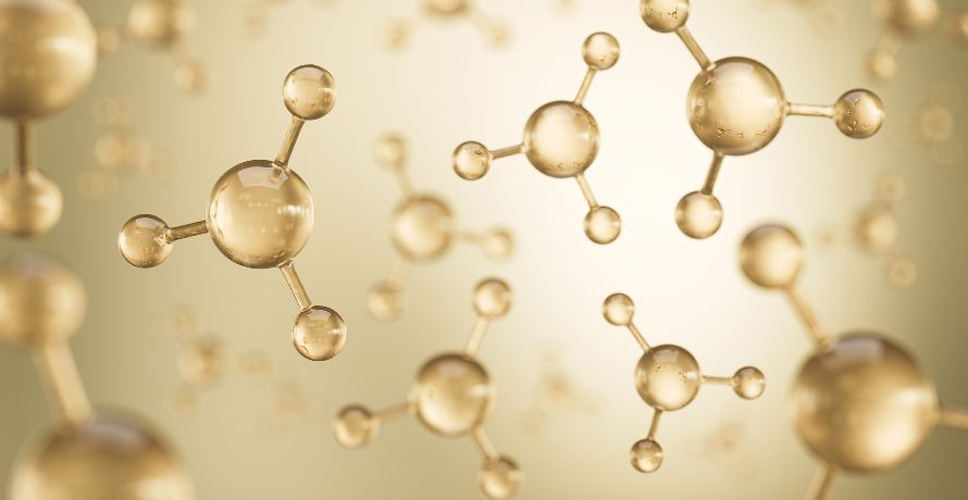 Wirkung von Aminosäuren