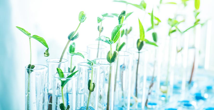 Dalton Wirkstoffe in den Pflegeprodukten