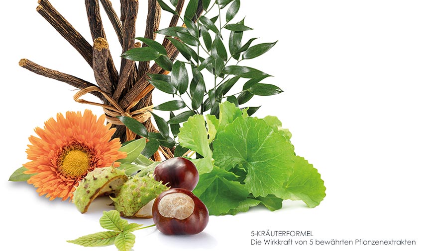 Redness Control Gesichtspflege bei Couperose auf Basis der 5-Kräuterformel