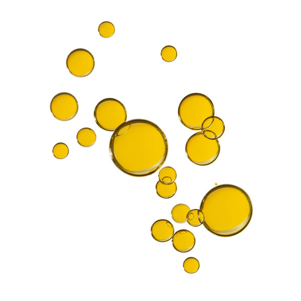 Wie wirkt Alpha LinolensÃ¤ure auf der Haut