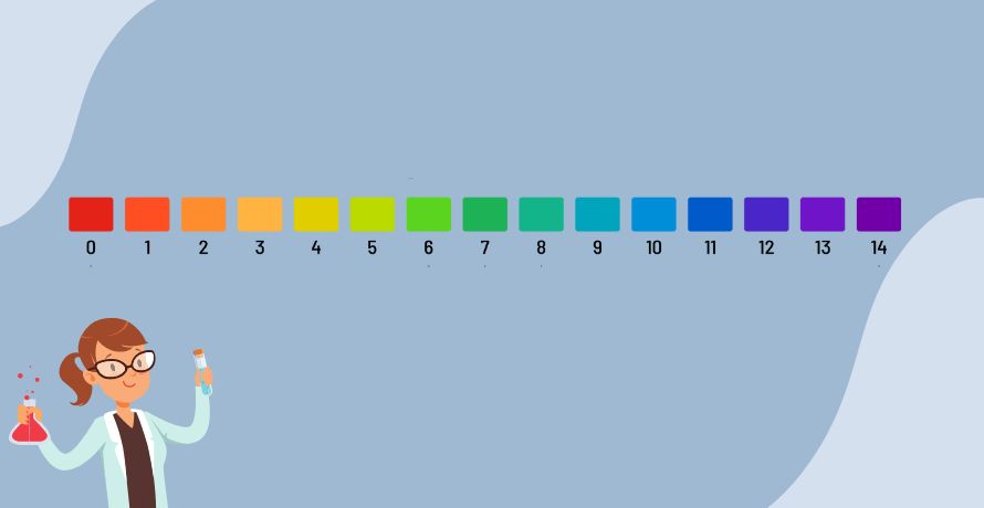 So wichtig ist der pH-Wert