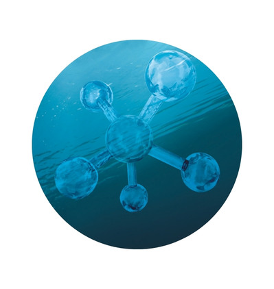 DALTON hochverträgliche Meereskosmetik