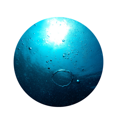 Entstehungsgeschichte von DALTON Marine Cosmetics