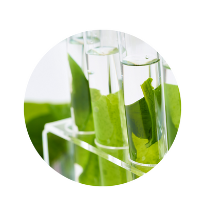 Die DALTON Inhaltsstoffe