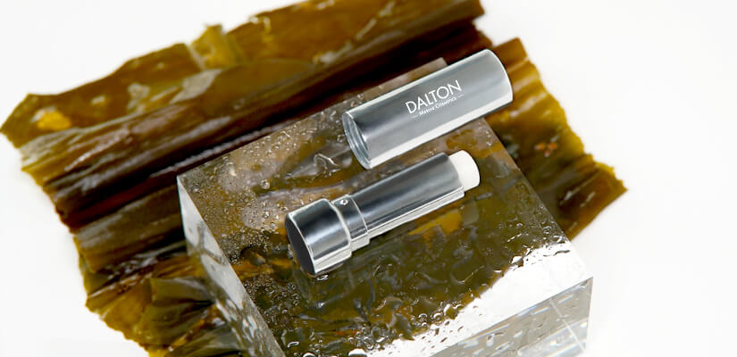 NÃ¤hrender Lip Balm fÃ¼r sprÃ¶de Lippen 