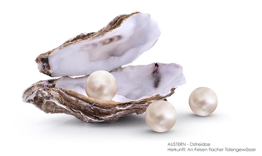 Abgestimmt auf die Bedürfnisse der Mischhaut und ihre Pflege