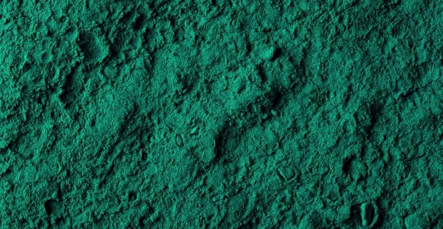 Spirulina Wirkung in Kosmetik und Nahrungsergänzung